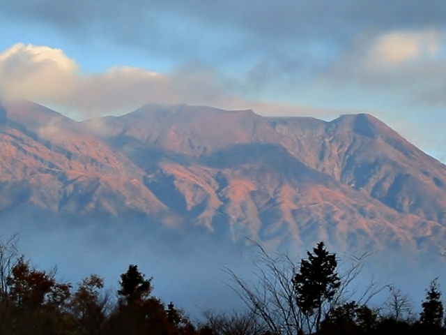 b0248954_712937.jpg