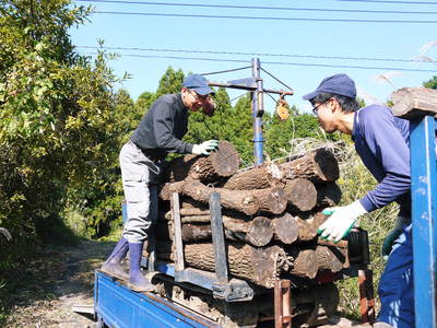 原木しいたけ 原木の運搬作業は驚きの連続!!その2_a0254656_18524755.jpg