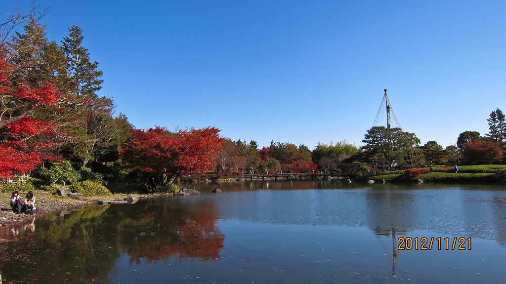 昭和記念公園の紅葉_f0044056_8441524.jpg