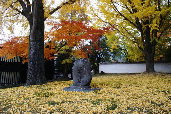 東大寺西大門跡の紅葉　＠奈良公園_b0063958_22142116.jpg