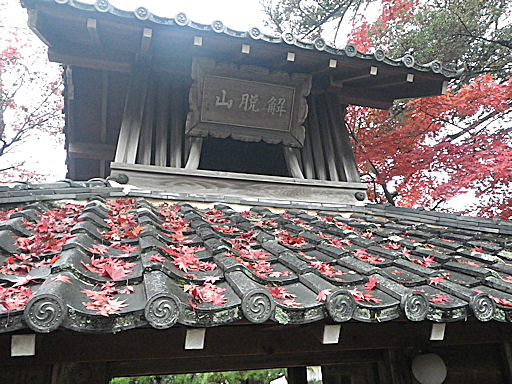 f0156359_2130508.jpg