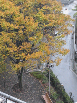 d0152761_22151939.gif