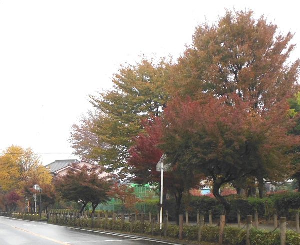 a0053063_23232936.jpg
