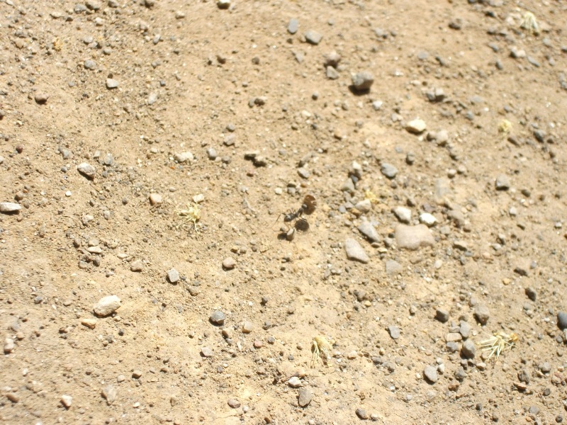 d0154964_0272734.jpg