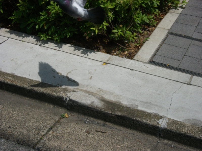 d0154964_0274065.jpg