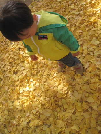 f0095265_14385625.jpg
