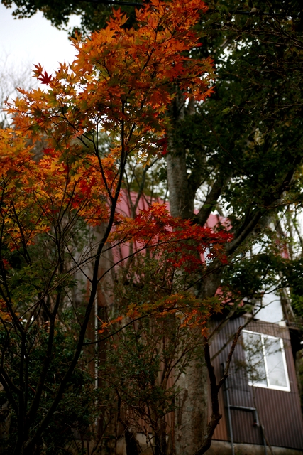 f0096666_131886.jpg