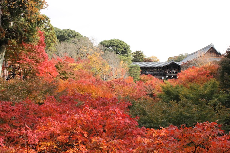 京都の紅葉_c0173978_030930.jpg