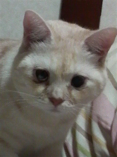f0228680_92738100.jpg