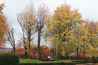 b0207284_0441697.jpg
