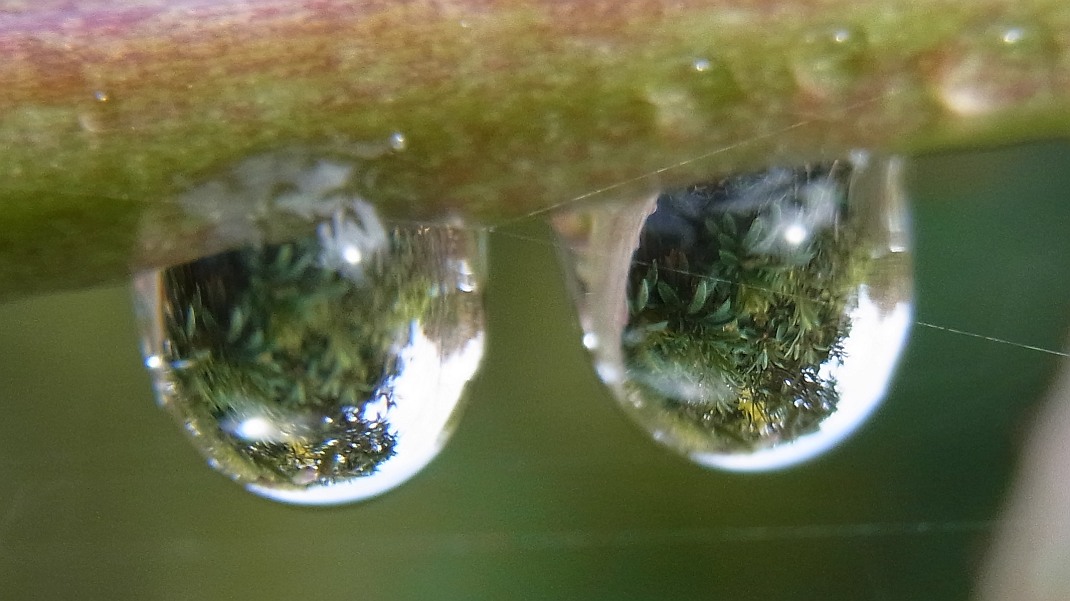 a0152692_1750439.jpg