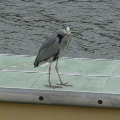 f0166694_17163759.jpg