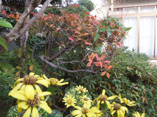 a0271502_13172595.jpg