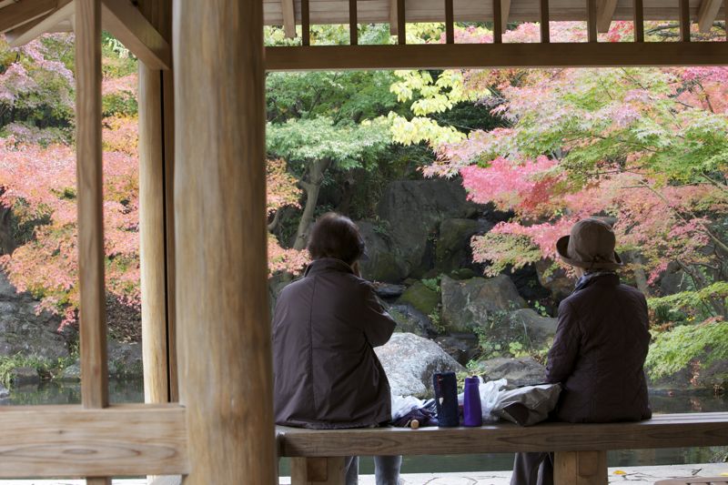 平塚運動公園の秋_d0148902_1893693.jpg