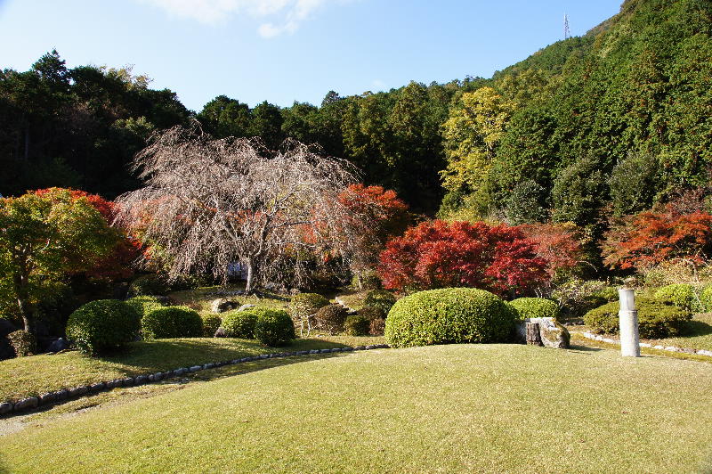 種蒔き権兵衛の里は紅葉真っ盛り・・・です。_a0196709_19285043.jpg