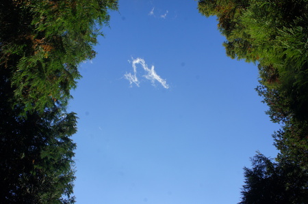b0166909_1234447.jpg