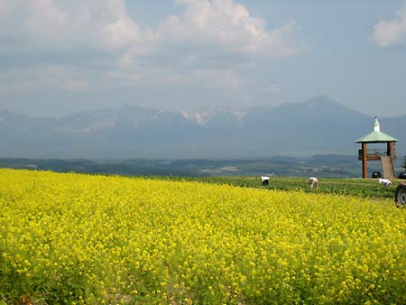 f0032812_21113835.jpg