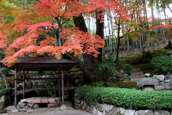 紅葉だより47 くろだに 栄摂院(えいしょういん)_e0048413_2123116.jpg