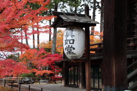 紅葉だより49 真如堂_e0048413_22453721.jpg