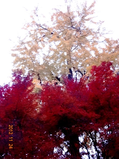 a0219015_17485933.jpg