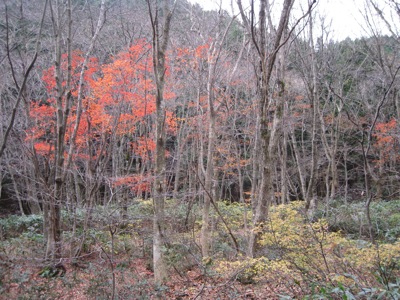 f0158625_1752529.jpg