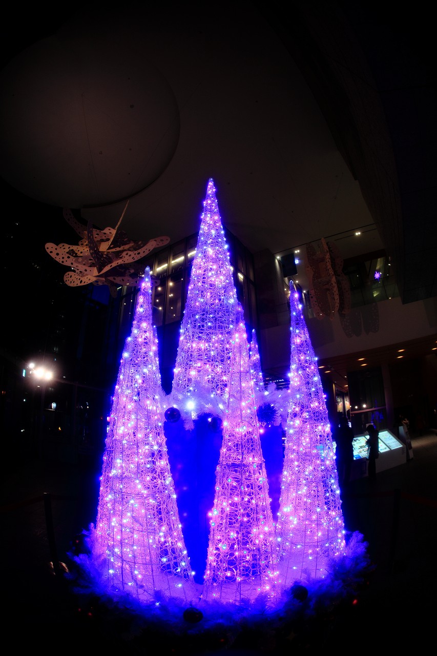 b0243727_6564454.jpg