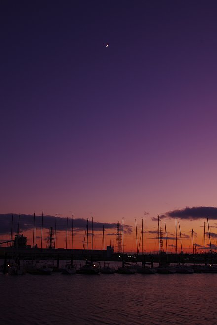 2012年11月24日　The Crescent Moon in the November Dusk_b0134829_11125630.jpg