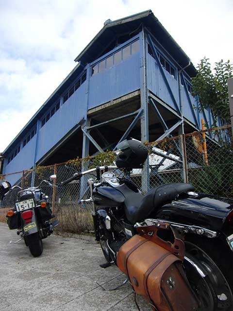 d0207730_68127.jpg