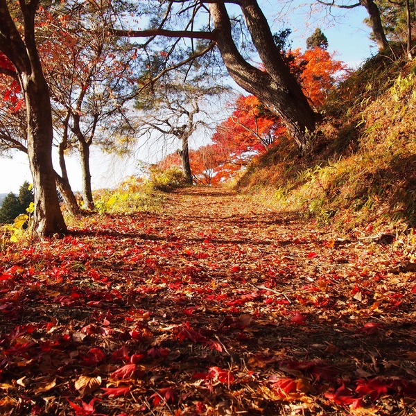 岐阜♦「岩村城址」_a0148431_21225918.jpg