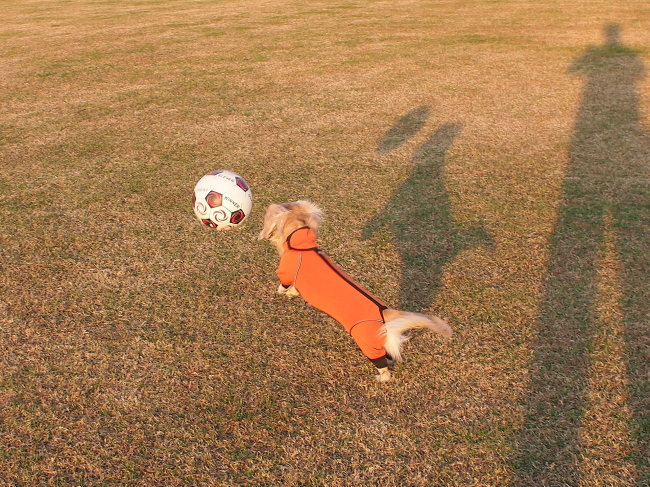 c0117831_21481762.jpg