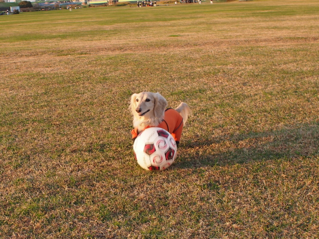 c0117831_2148363.jpg