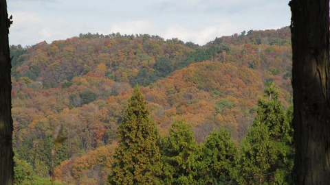e0202031_21355087.jpg