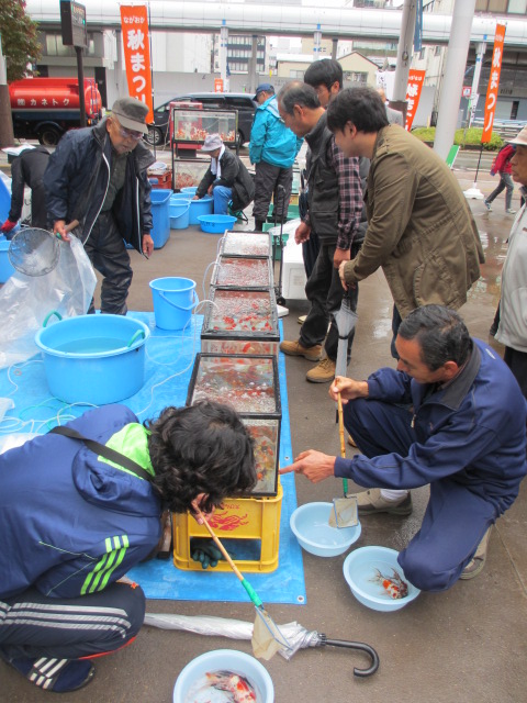 f0214235_114266.jpg