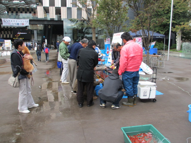 f0214235_1462744.jpg