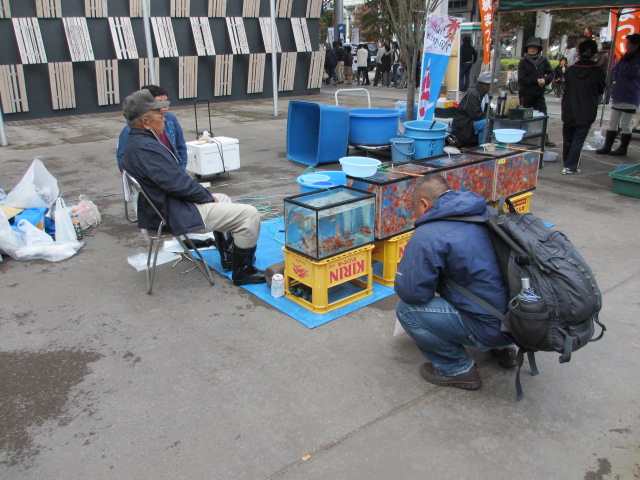 f0214235_17144135.jpg