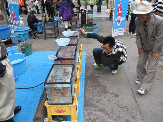 f0214235_17543339.jpg
