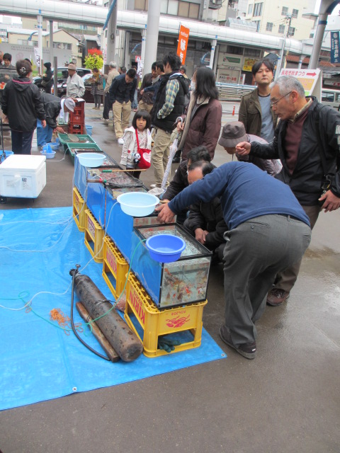 f0214235_282059.jpg