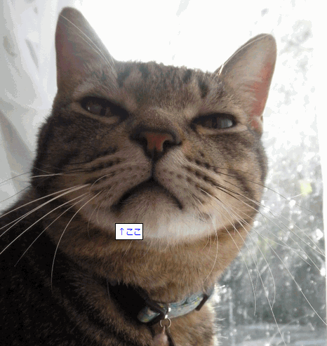 c0136736_1425413.gif