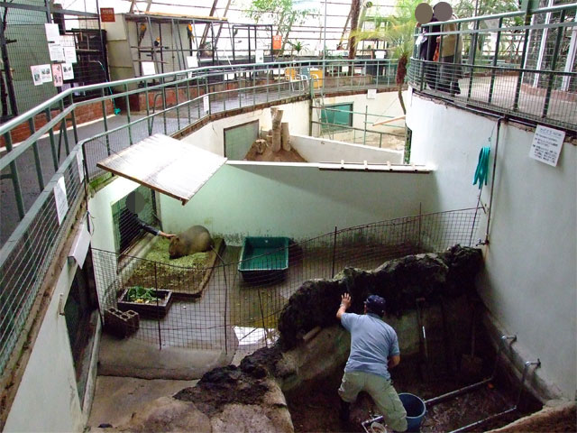 草津温泉にオスカピくんあらわる_a0179837_1172372.jpg