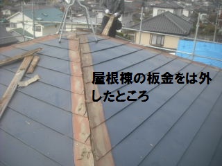 屋根と法面モルタル充填作業_f0031037_18553789.jpg