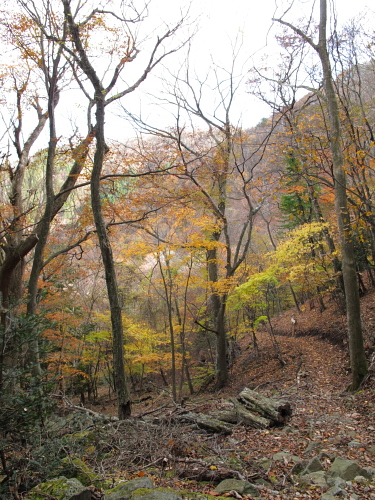 go climb a mountain part 4_f0114339_19594619.jpg