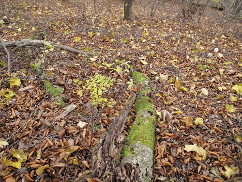 go climb a mountain part 4_f0114339_19595790.jpg