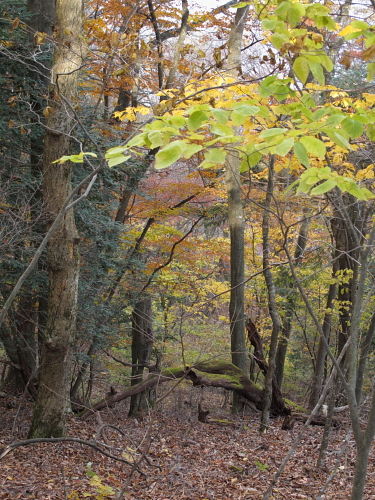 go climb a mountain part 4_f0114339_195971.jpg