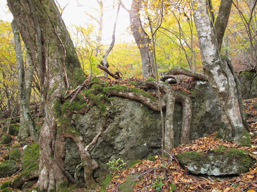 go climb a mountain part 4_f0114339_200359.jpg