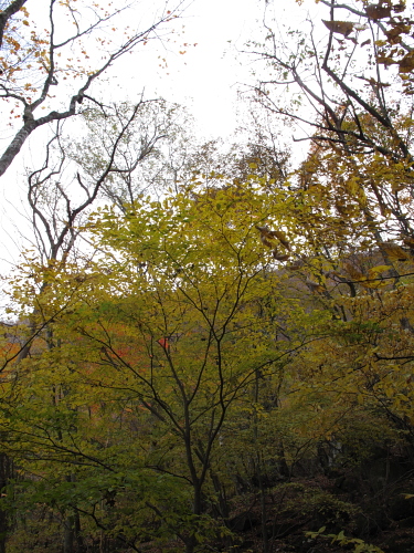 go climb a mountain part 4_f0114339_202219.jpg