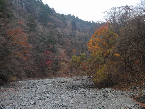 a0048040_2110046.jpg
