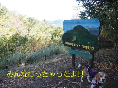 c0119142_1133780.jpg