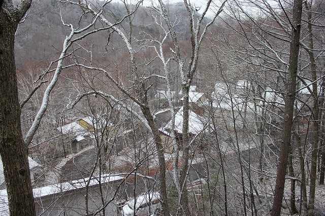 e0023643_23182458.jpg
