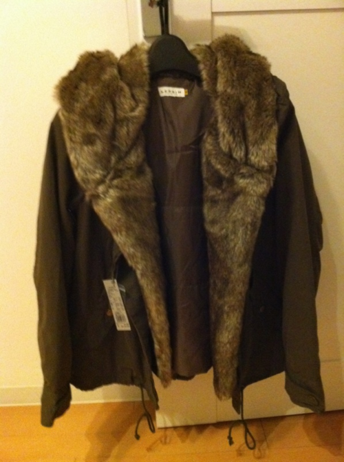 coat_a0288648_21543963.png