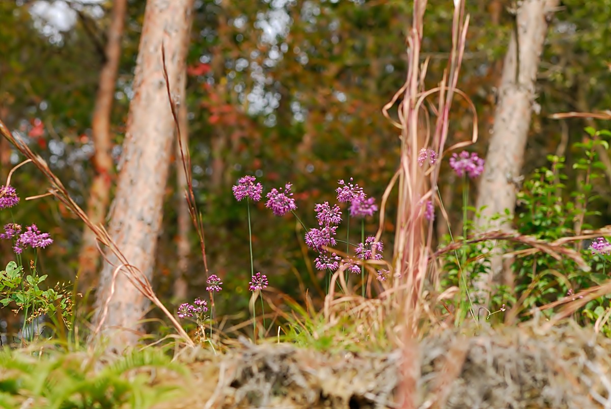 f0224648_8593260.jpg